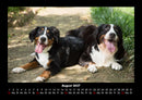 Hundezauber Fotokalender 2027 - 8
