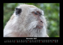 Bali Fotokalender 2027 - 11