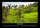 Palmentraum Fotokalender 2027 - 10