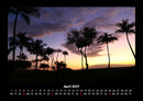 Palmentraum Fotokalender 2027 - 4