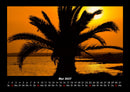 Palmentraum Fotokalender 2027 - 5