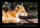 Waldbewohner Fotokalender 2027 - 9