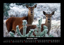 Waldbewohner Fotokalender 2027 - 12
