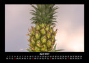 Obstkalender Fotokalender 2027 - 4