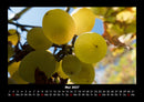 Obstkalender Fotokalender 2027 - 5