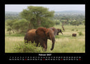 Elefanten - Die sanften Riesen Afrikas Fotokalender 2027 - 2