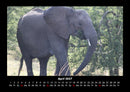 Elefanten - Die sanften Riesen Afrikas Fotokalender 2027 - 4