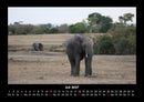 Elefanten - Die sanften Riesen Afrikas Fotokalender 2027 - 7