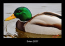 Enten Fotokalender 2027 - Hauptbild