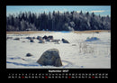 Winterzauber Fotokalender 2027 - 9