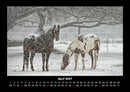 Winterzauber Fotokalender 2027 - 4