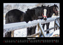 Winterzauber Fotokalender 2027 - 8