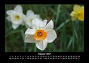 Blumenzauber Fotokalender 2027 - 2