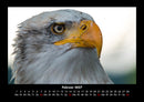 Adler Fotokalender 2027 - 2
