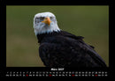 Adler Fotokalender 2027 - 3