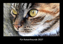 Für Katzenfreunde Fotokalender 2027 - Hauptbild
