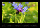 Blick in die Natur Fotokalender 2027 - 5