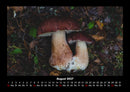 Pilzkalender Fotokalender 2027 - 8