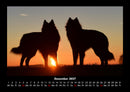 Hundezauber Fotokalender 2027 - 12