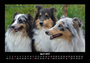 Hundezauber Fotokalender 2027 - 4
