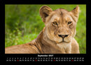 Der Tierkalender Fotokalender 2027 - 9