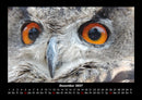 Der Tierkalender Fotokalender 2027 - 12