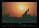 Giraffen Fotokalender 2027 - 5