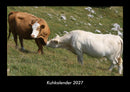 Kuhkalender Fotokalender 2027 - Hauptbild