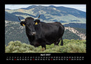 Kuhkalender Fotokalender 2027 - 4