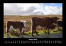Kuhkalender Fotokalender 2027 - 8