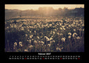 Blumenzauber Fotokalender 2027 - 2