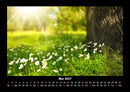 Blumenzauber Fotokalender 2027 - 5