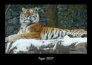 Tiger Fotokalender 2027 - Hauptbild