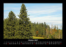 Bäume Fotokalender 2027 - 10