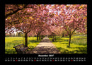 Bäume Fotokalender 2027 - 12