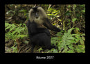 Bäume Fotokalender 2027 - Hauptbild