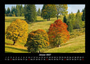 Bäume Fotokalender 2027 - 1