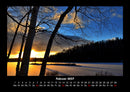 Bäume Fotokalender 2027 - 2