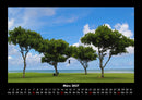 Bäume Fotokalender 2027 - 3