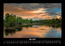 Bäume Fotokalender 2027 - 5