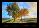 Bäume Fotokalender 2027 - 6
