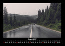 Bäume Fotokalender 2027 - 8