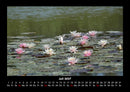 Seeblick Fotokalender 2027 - 7