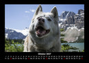 Hundezauber Fotokalender 2027 - 10