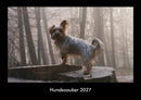 Hundezauber Fotokalender 2027 - Hauptbild