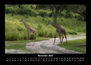 Welt der Tiere Fotokalender 2027 - 11