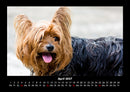 Welt der Tiere Fotokalender 2027 - 4