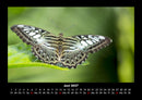 Welt der Tiere Fotokalender 2027 - 6