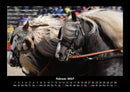 Pferdegeflüster Fotokalender 2027 - 2