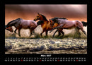 Pferdegeflüster Fotokalender 2027 - 3
